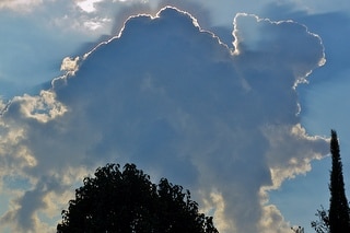 majówka kot chmura