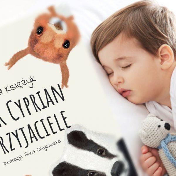 Krótka Bajka Na Dobranoc - Jeżyk Cyprian I Magiczny Kamień