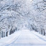 bajka o drodze - zima